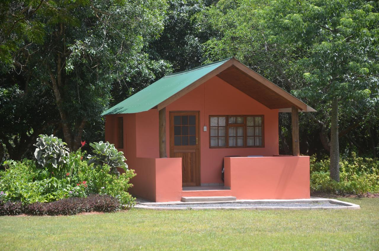 Bushbaby Lodge & Camping Hluhluwe Buitenkant foto