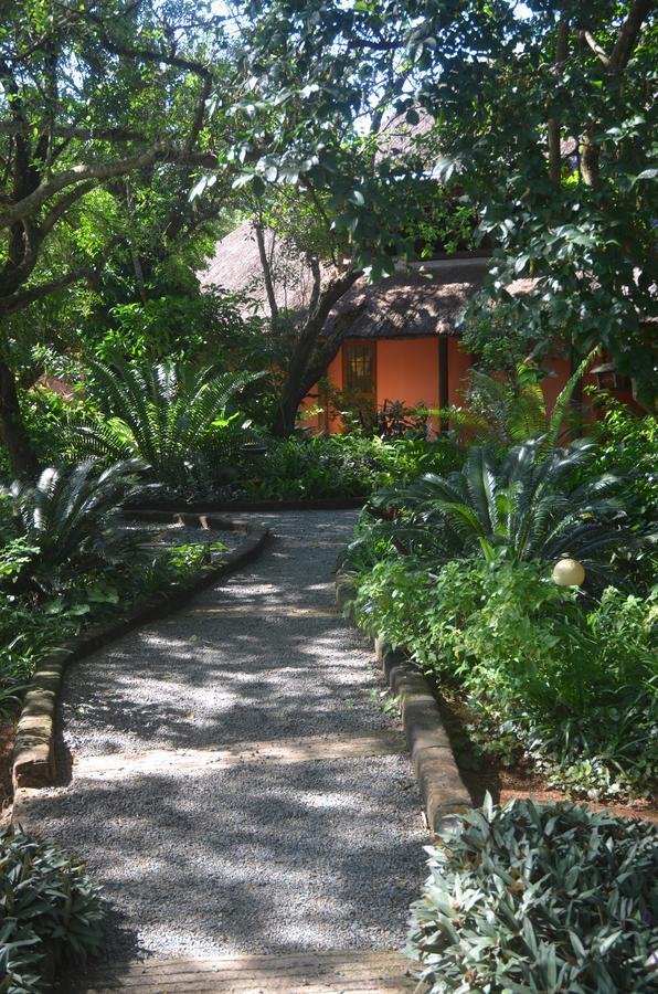 Bushbaby Lodge & Camping Hluhluwe Buitenkant foto