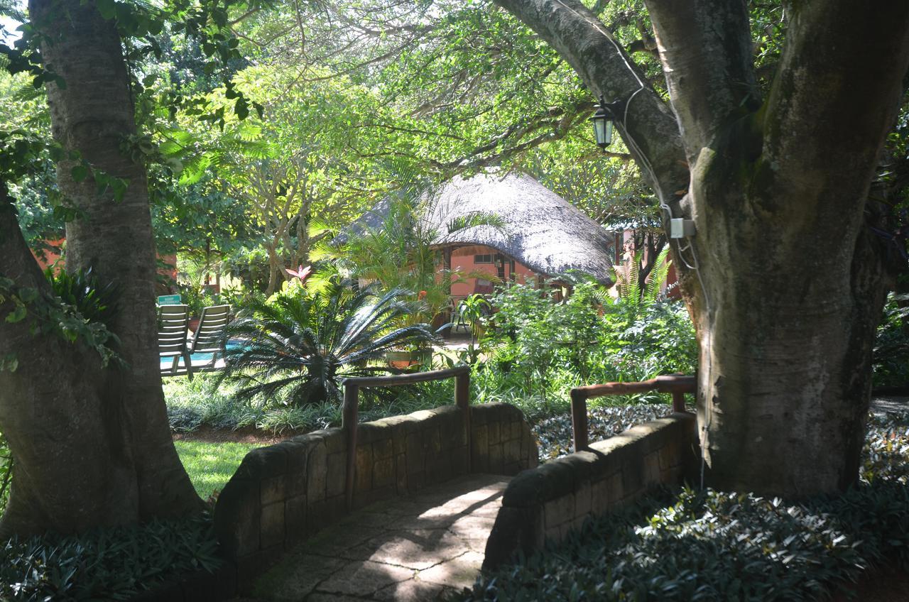 Bushbaby Lodge & Camping Hluhluwe Buitenkant foto