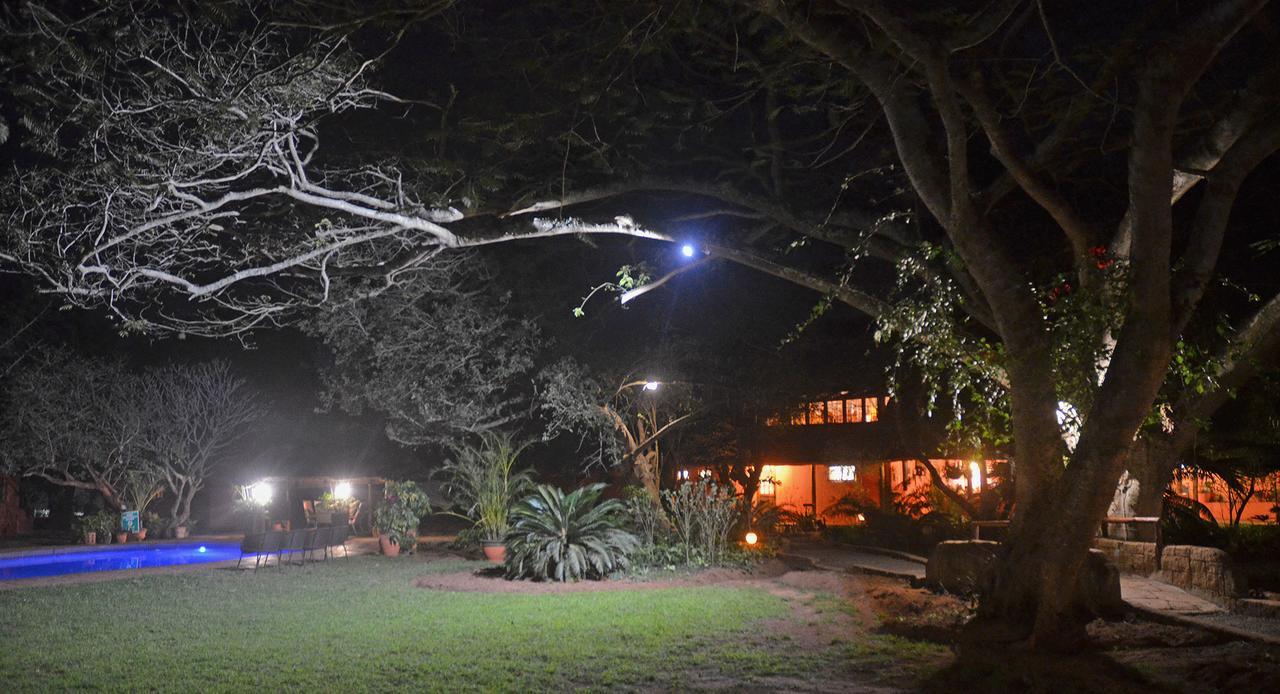 Bushbaby Lodge & Camping Hluhluwe Buitenkant foto